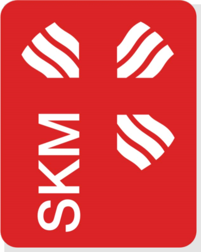Logo SKM - Kath. Verein für Soziale Dienste im Dekanat Zollern e.V.